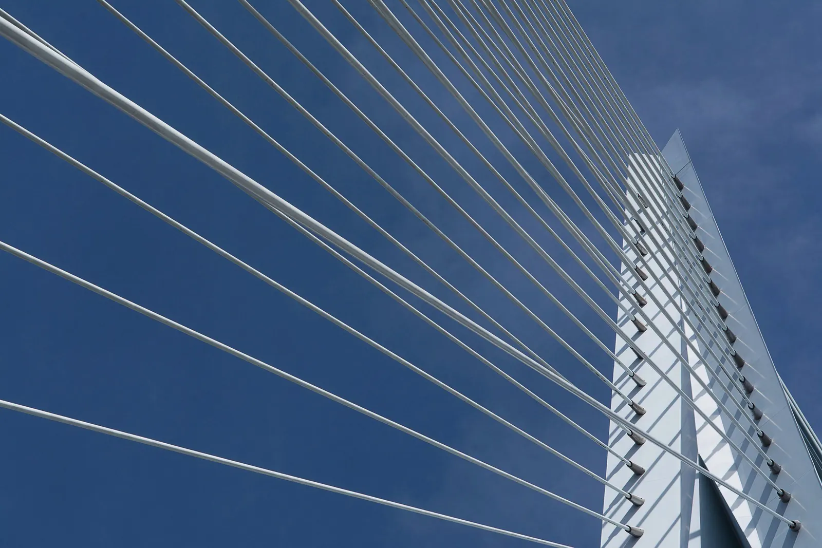 Close view of white bridge cables fanning from a pylon against a deep blue sky.