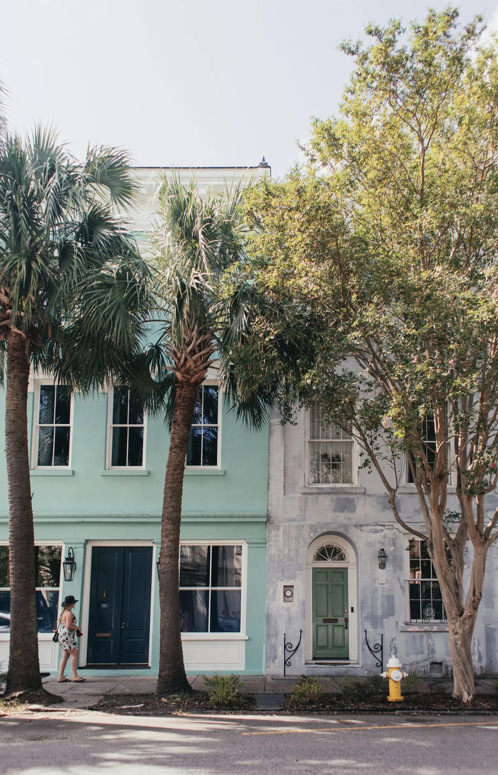 Pastel mint and grey Charleston townhouses behind palmettos and a crape myrtle on a quiet street.
