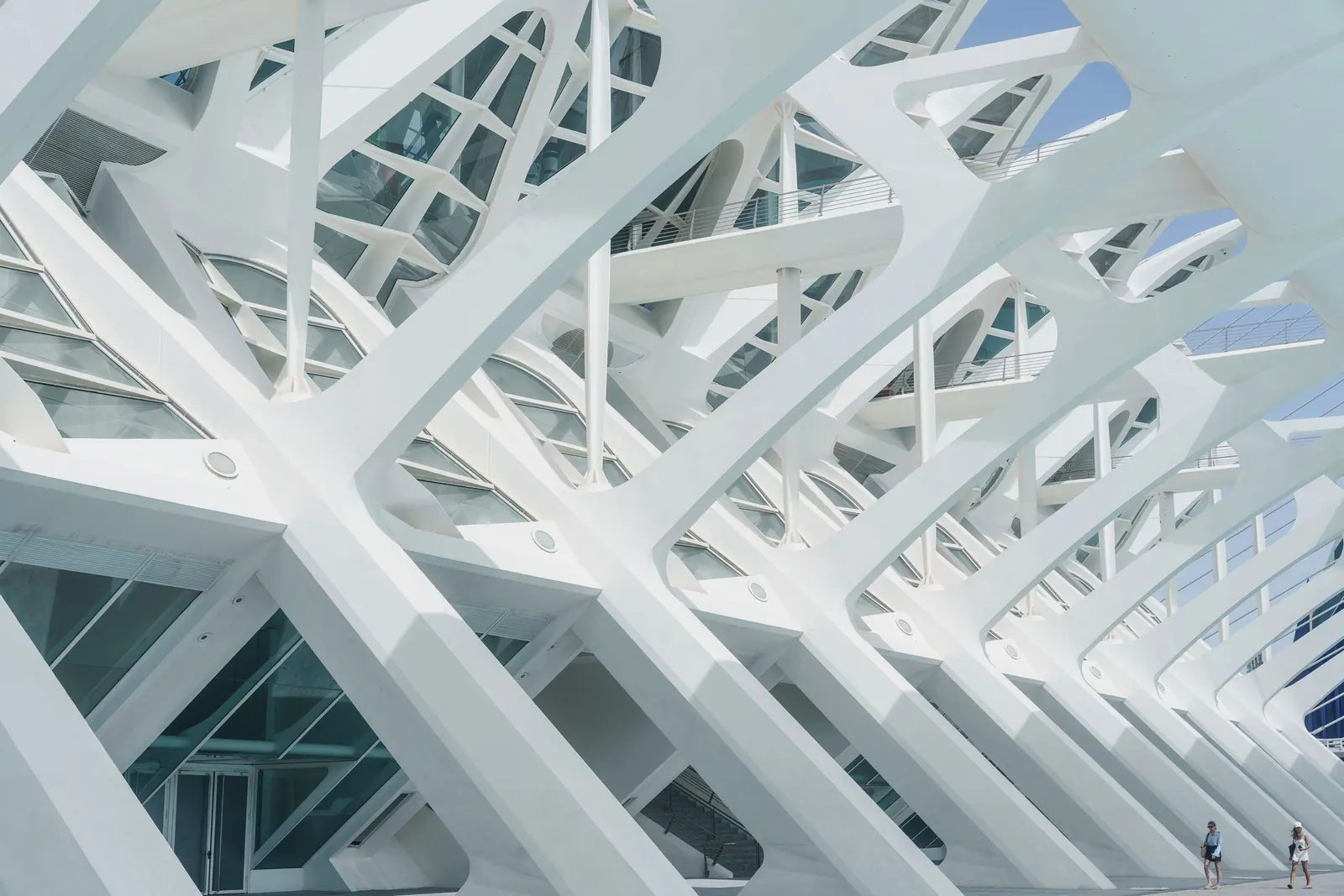 White ribbed concrete and glass architecture curving overhead in bright daylight.
