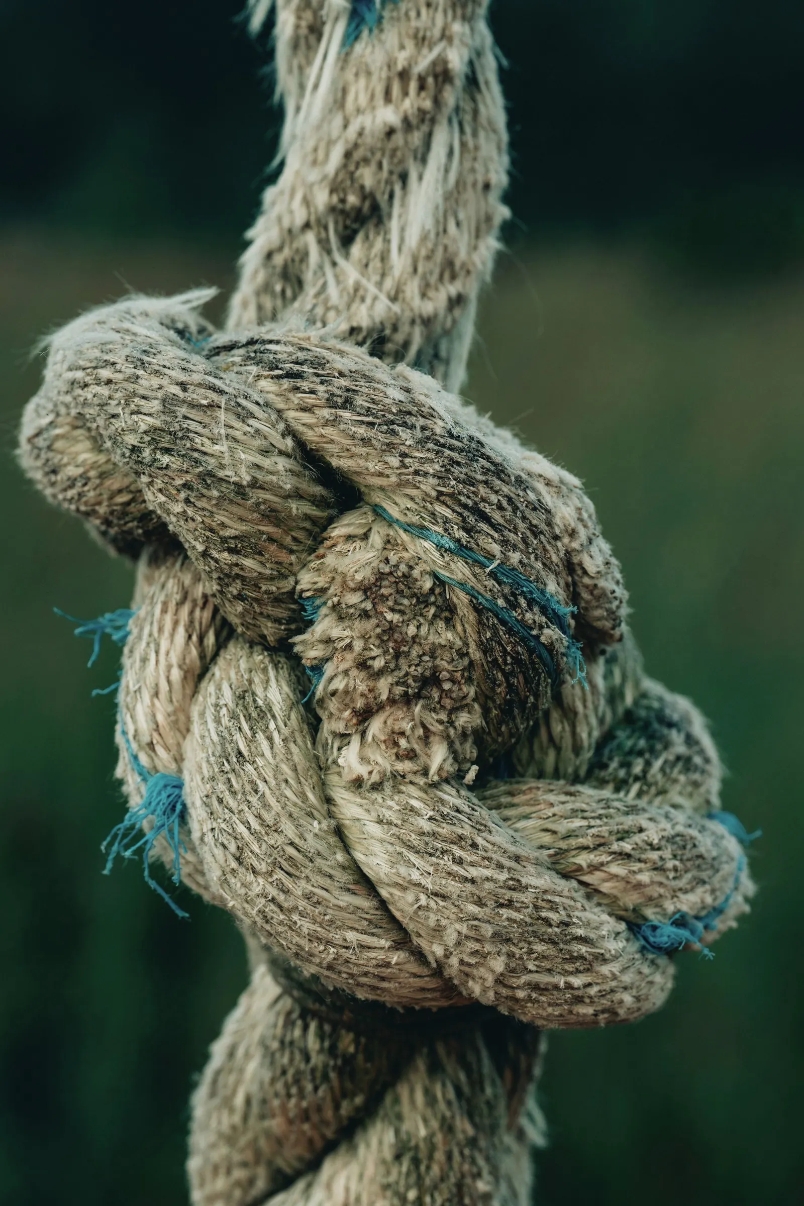 A thick weathered rope tied in a tight knot against a soft green background.