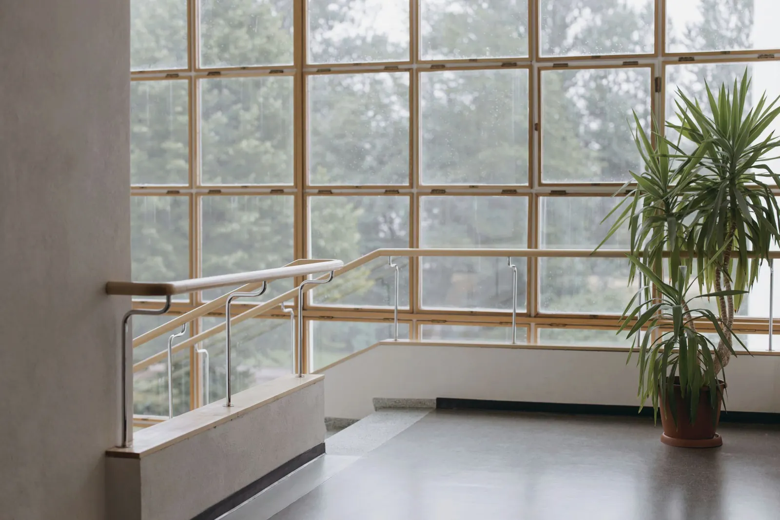 A stair landing with a tall gridded window looking onto trees and a potted plant in the corner.